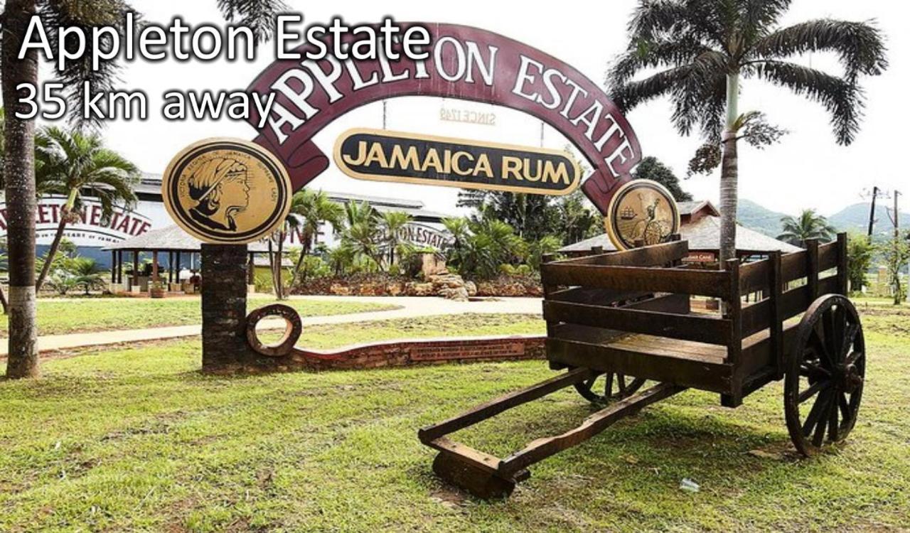 Loodik Vacation Home Brompton Manor 布莱克河 外观 照片