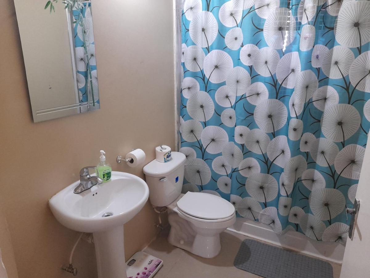 Loodik Vacation Home Brompton Manor 布莱克河 外观 照片
